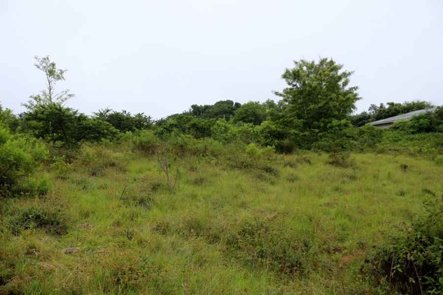 0 Bedroom Property for Sale in Bathurst Eastern Cape